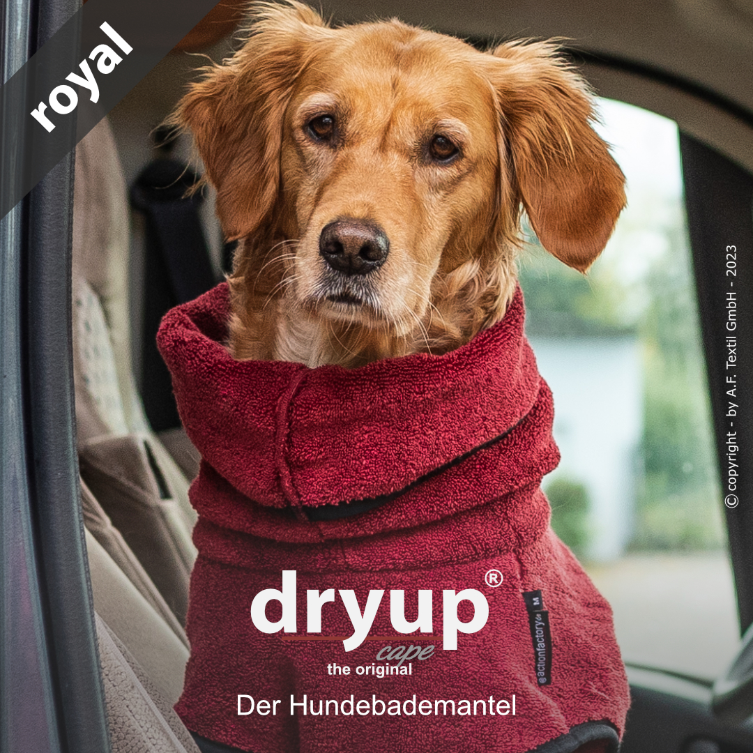 dryup® cape ROYAL bordeaux - The original dog bathrobe
