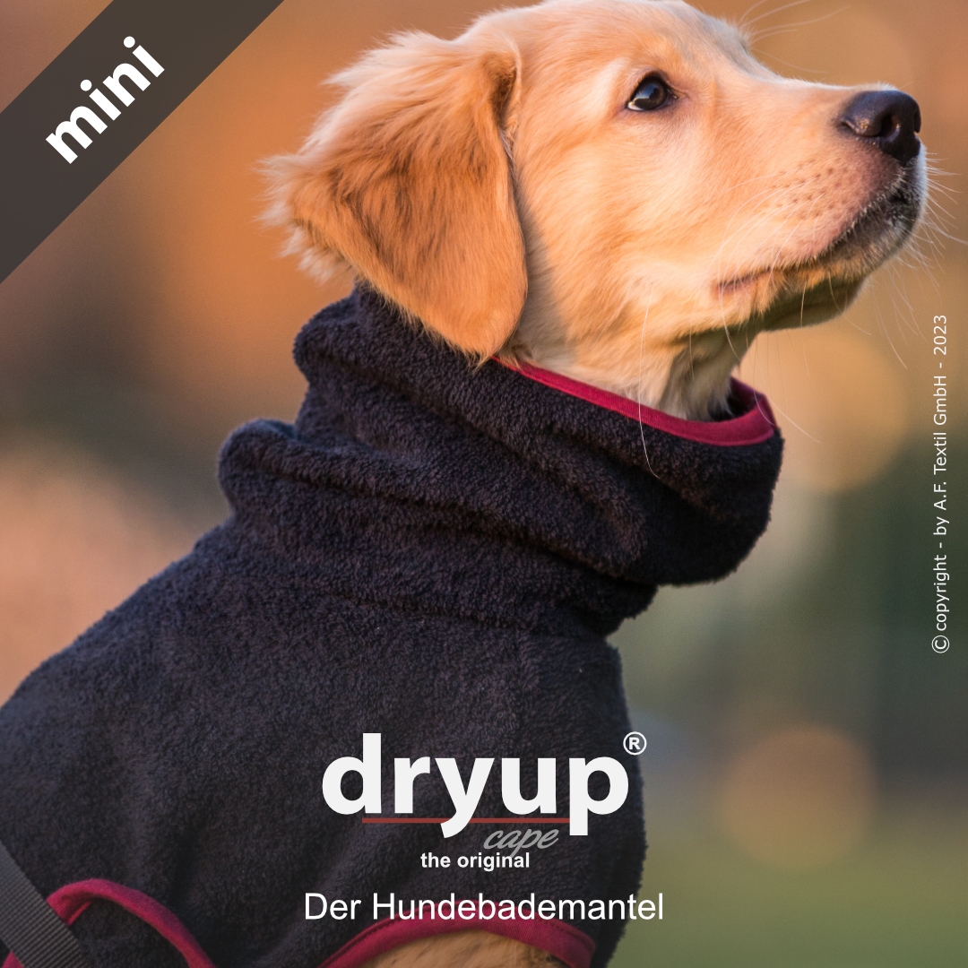 dryup® cape Mini BLACK - Der original Hundebademantel