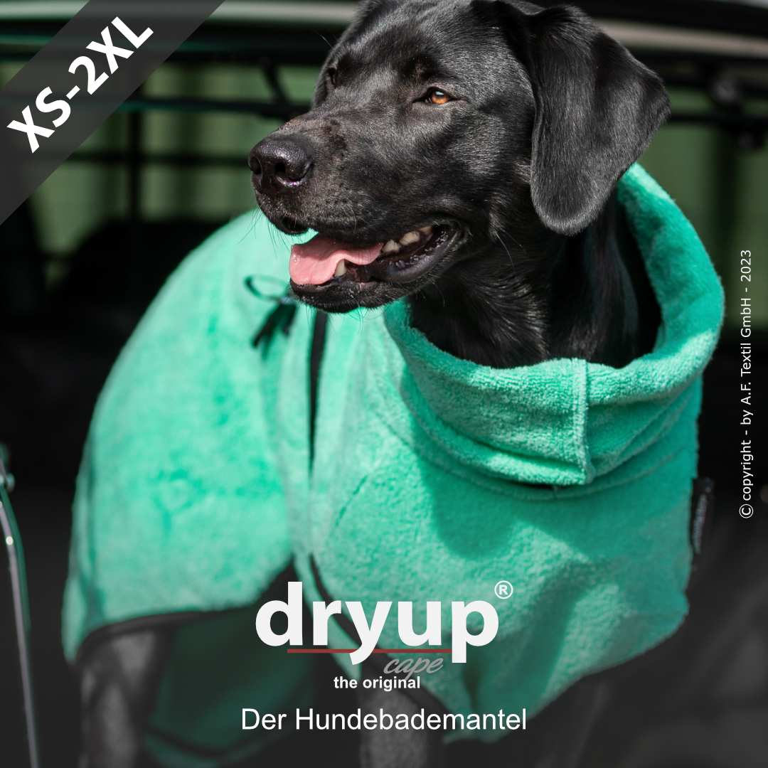 dryup® cape MINT - The original dog bathrobe