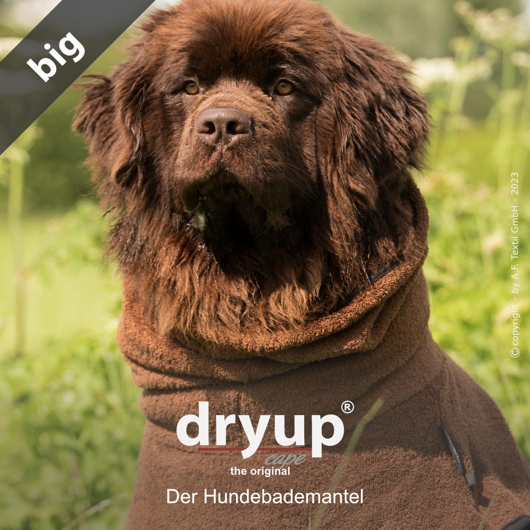 dryup® cape Big BROWN - The original dog bathrobe