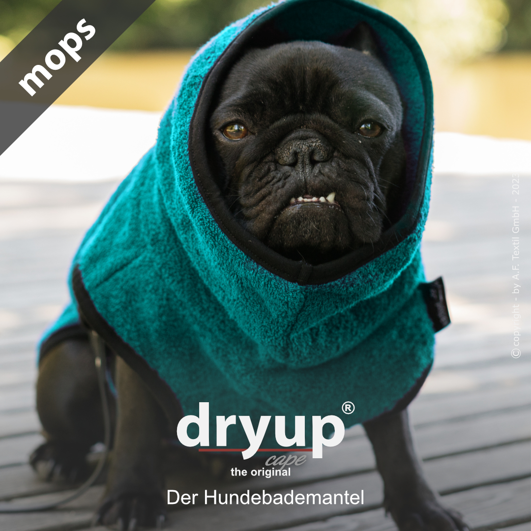 dryup® cape MOPS & CO PETROL - The original dog bathrobe