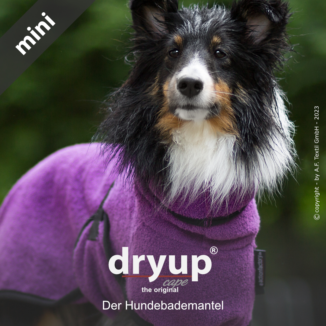 dryup® cape Mini BILBERRY - Der original Hundebademantel