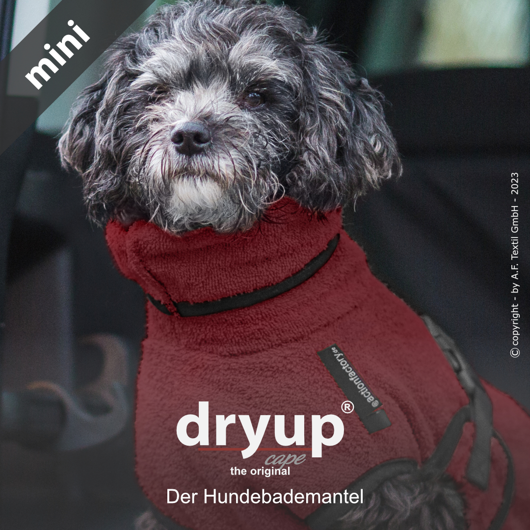 dryup® cape Mini BORDEAUX - Der original Hundebademantel