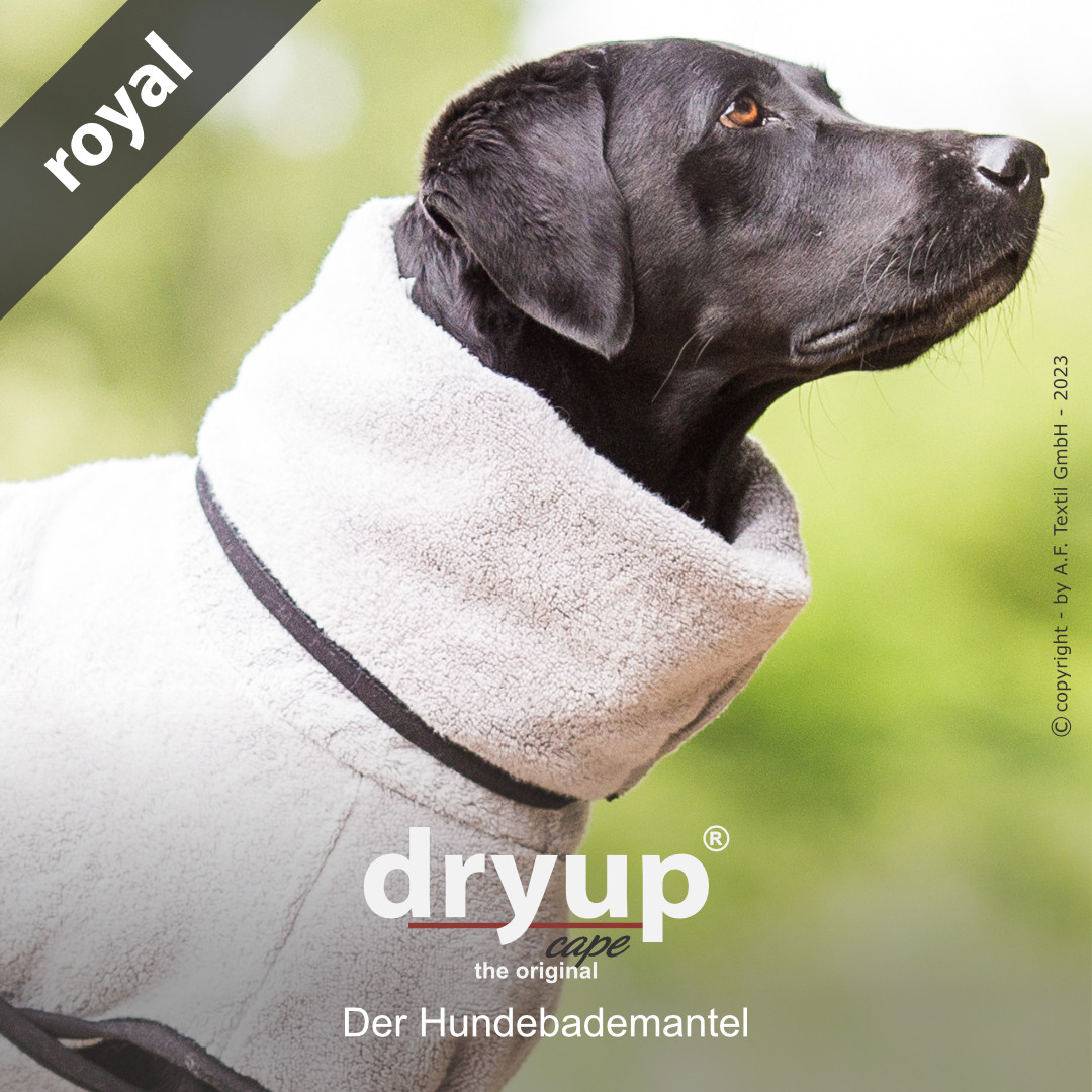 dryup® cape ROYAL silver - The original dog bathrobe
