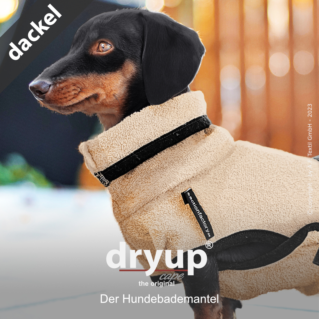 dryup® cape DACKEL SAND - Der original Hundebademantel