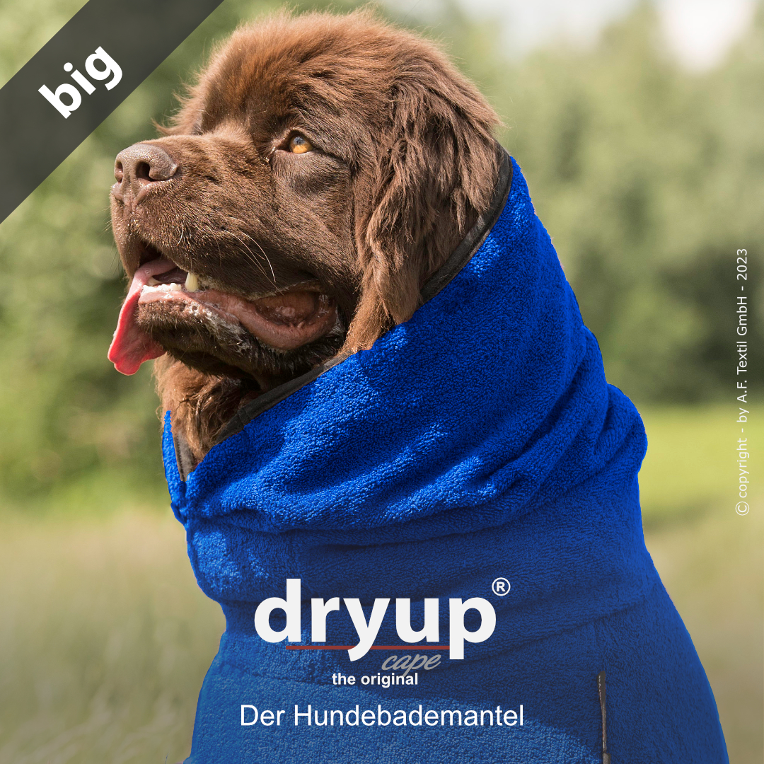 dryup® cape Big BLUEBERRY - The original dog bathrobe