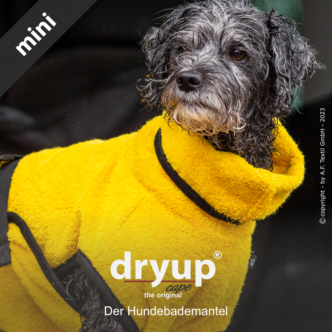 dryup® cape Mini YELLOW - Der original Hundebademantel