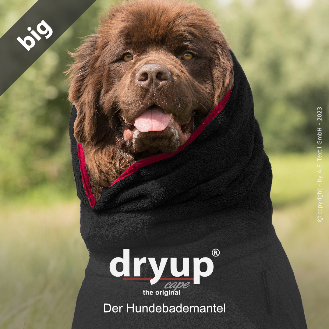 dryup® cape Big BLACK - The original dog bathrobe