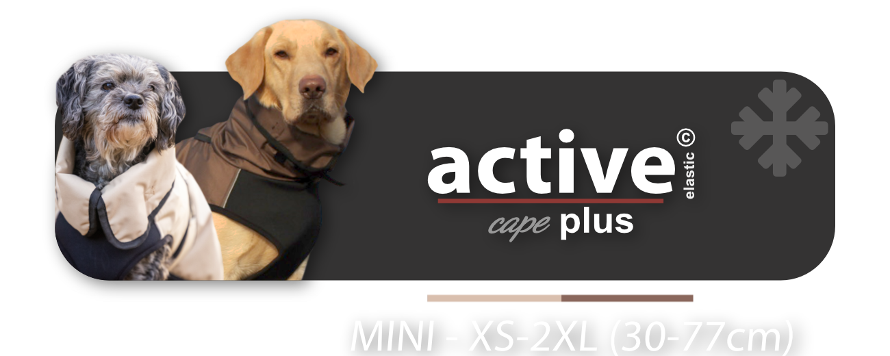home buttons-active plus