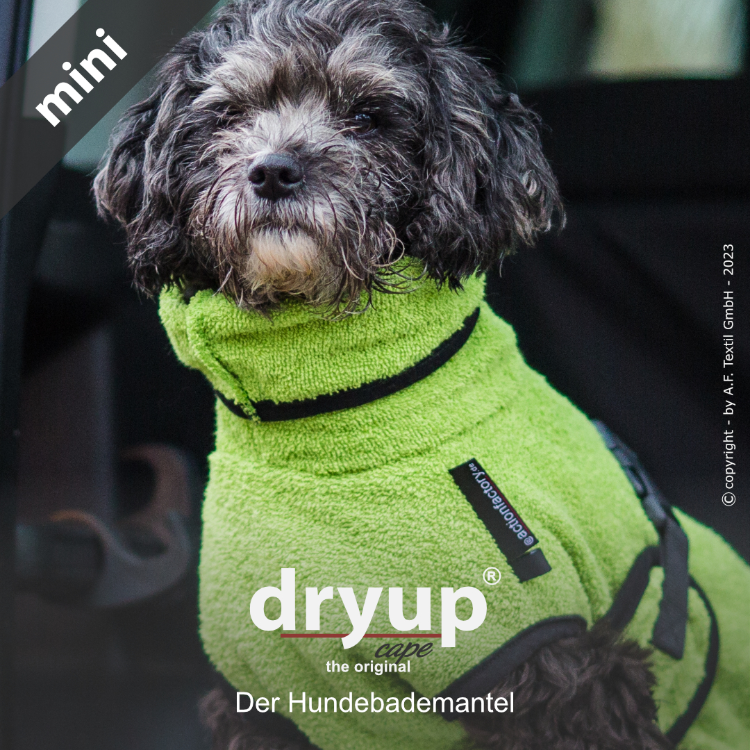 dryup® cape Mini KIWI - Der original Hundebademantel