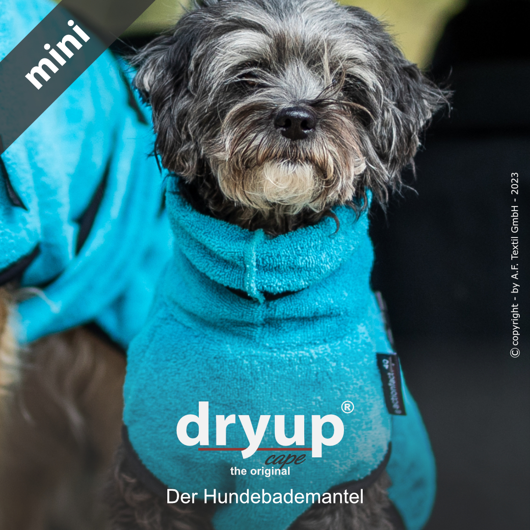 dryup® cape Mini CYAN - Der original Hundebademantel