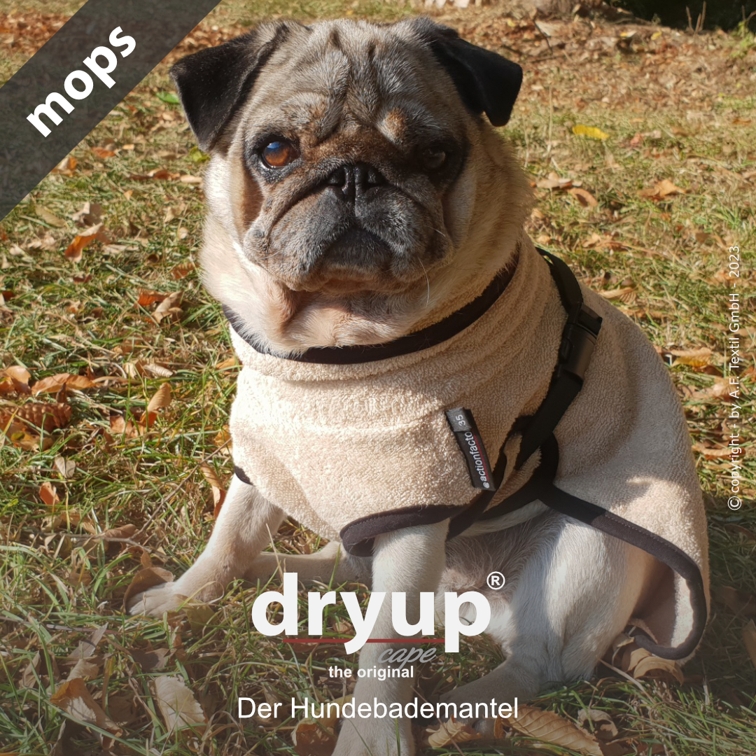 dryup® cape MOPS & CO SAND - The original dog bathrobe