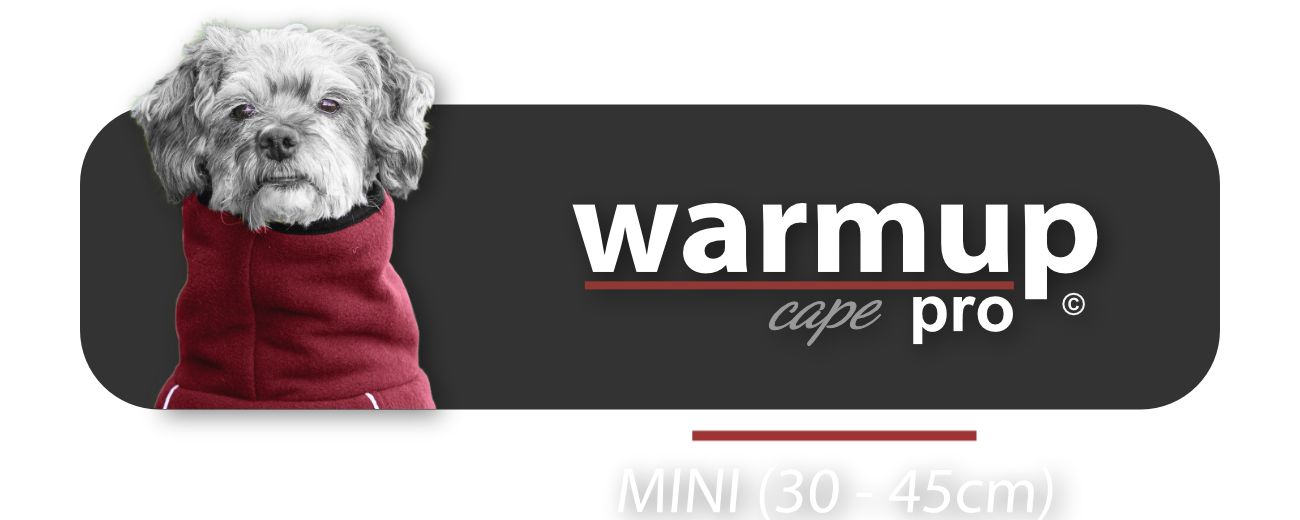 home buttons-warmup pro mini