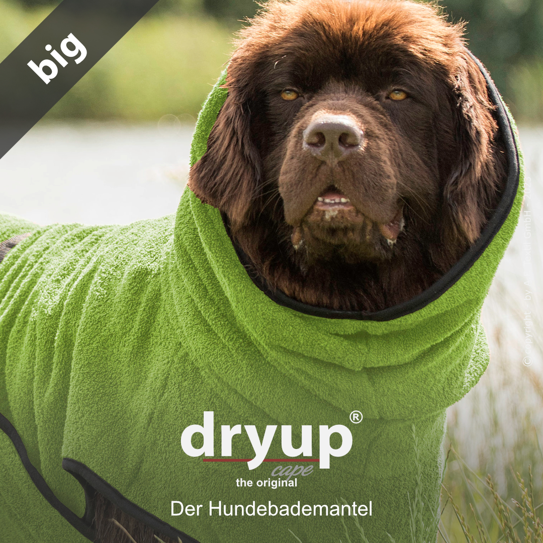 dryup® cape Big KIWI - The original dog bathrobe